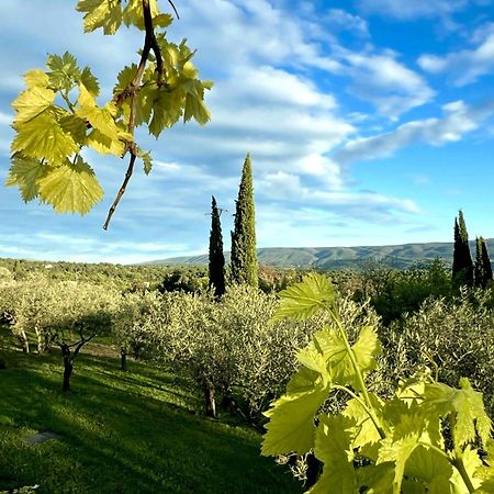 Provence Km28 Bed and Breakfast Gordes Εξωτερικό φωτογραφία