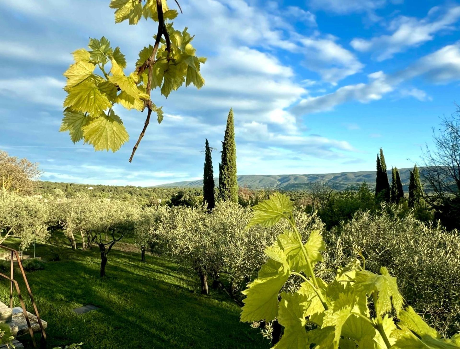 Provence Km28 Bed and Breakfast Gordes Εξωτερικό φωτογραφία