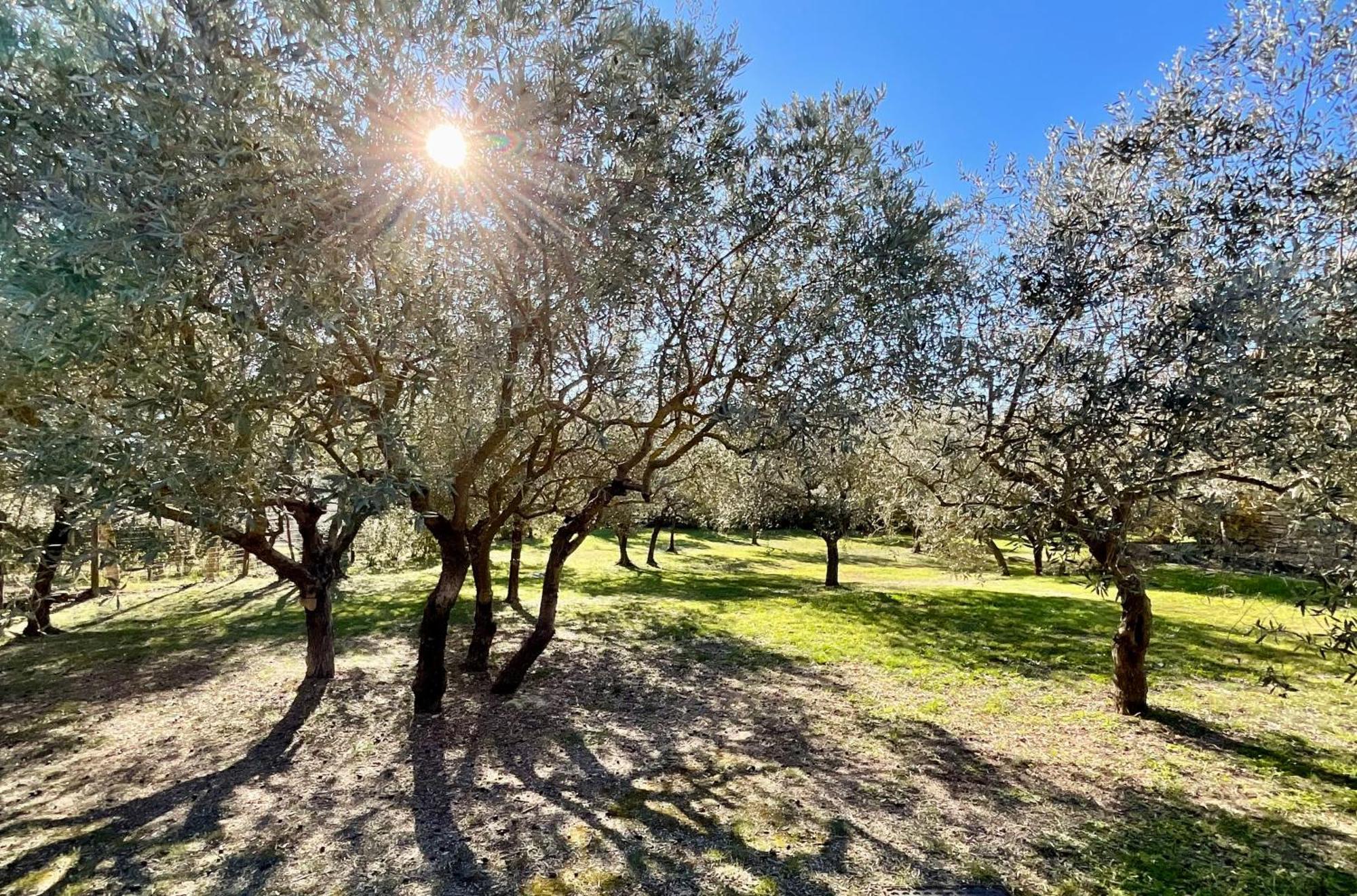 Provence Km28 Bed and Breakfast Gordes Εξωτερικό φωτογραφία