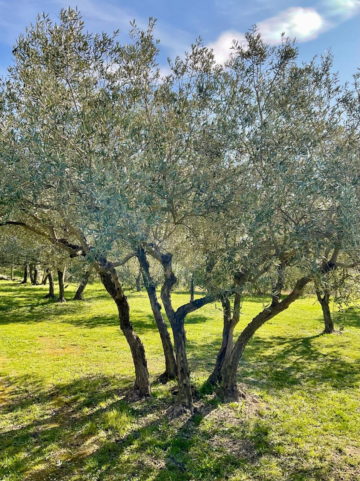 Provence Km28 Bed and Breakfast Gordes Εξωτερικό φωτογραφία