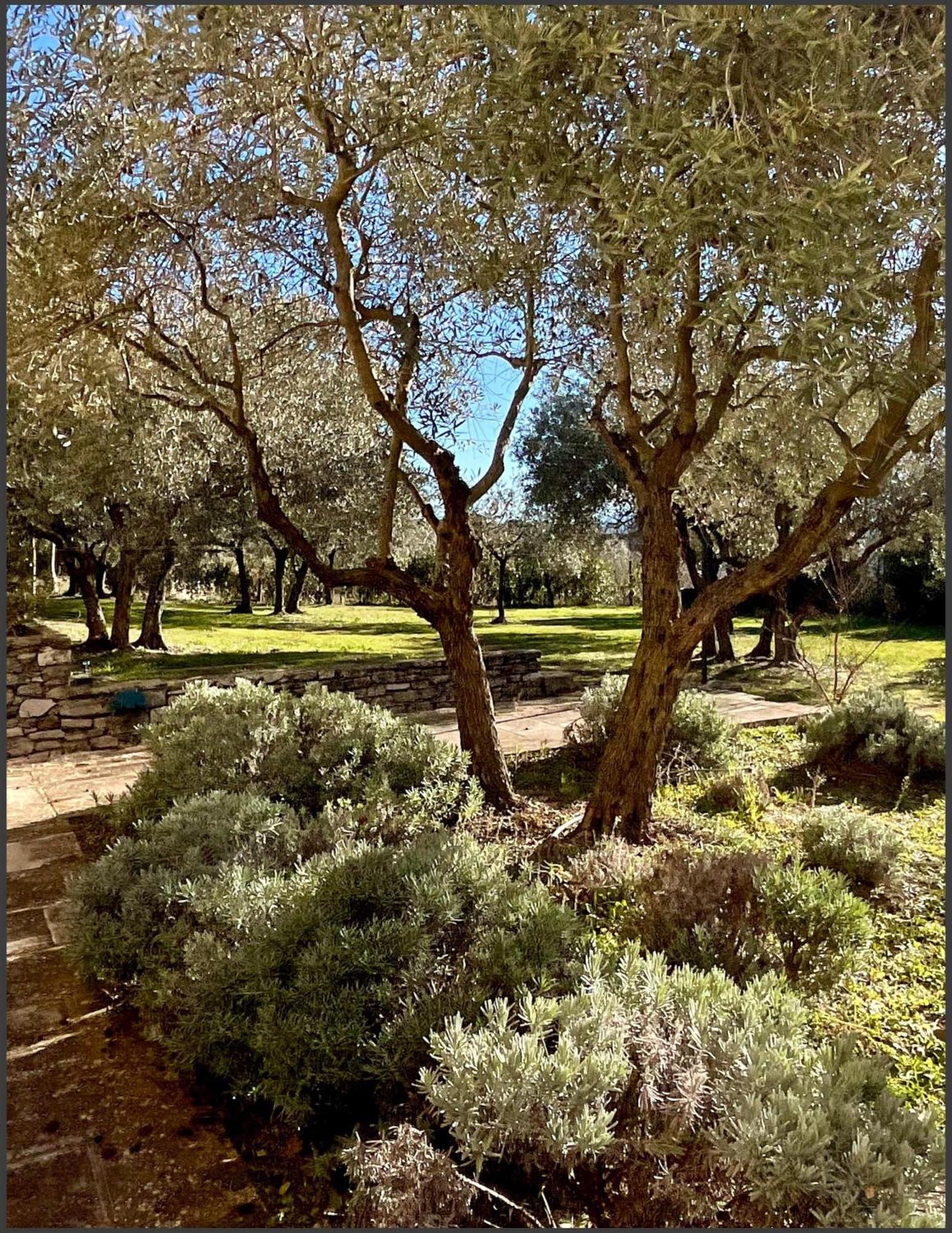 Provence Km28 Bed and Breakfast Gordes Εξωτερικό φωτογραφία
